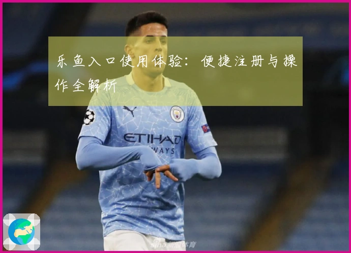 乐鱼入口使用体验：便捷注册与操作全解析