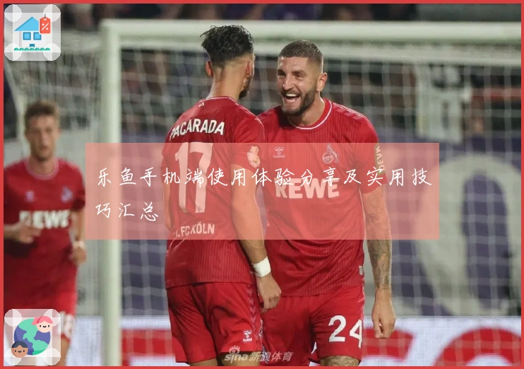 乐鱼手机端使用体验分享及实用技巧汇总