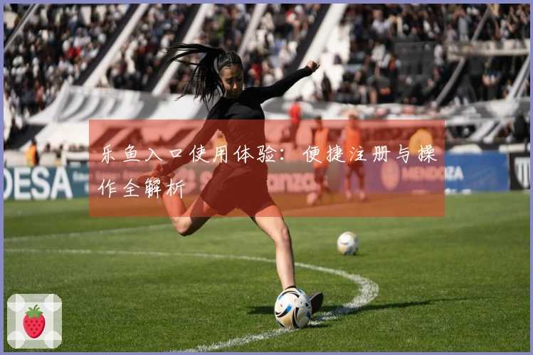 乐鱼入口使用体验：便捷注册与操作全解析