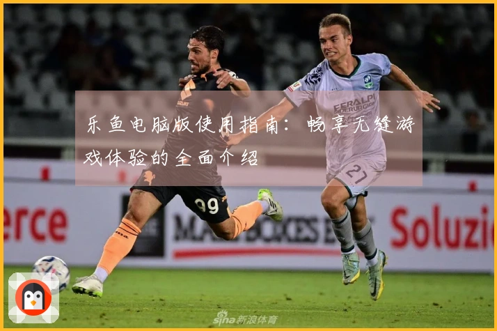 乐鱼电脑版使用指南：畅享无缝游戏体验的全面介绍