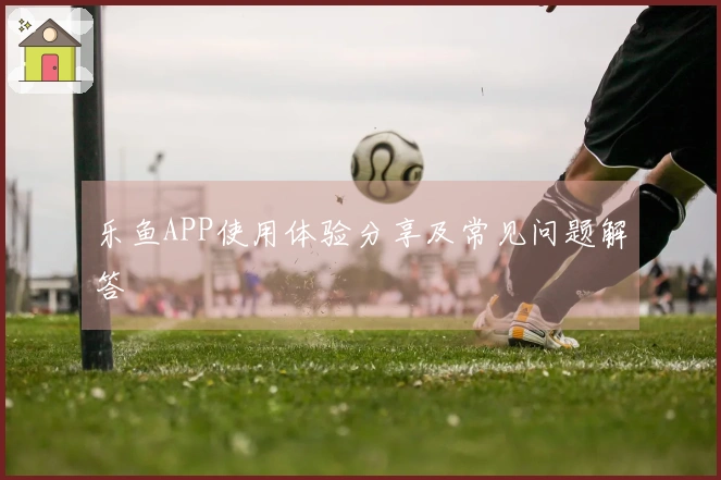 乐鱼APP使用体验分享及常见问题解答