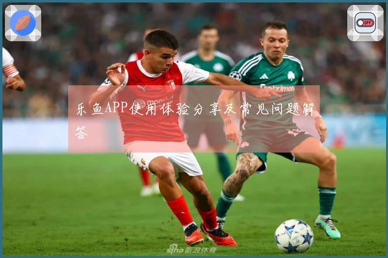 乐鱼APP使用体验分享及常见问题解答
